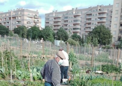 Access to healthy and sustainable food: a challenge for different vulnerable groups in Europe